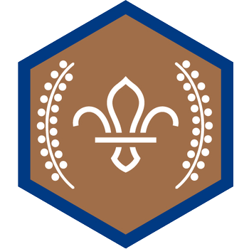Chief Scout's Bronze Award