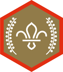 Chief Scout's Gold Award