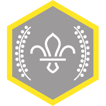 Chief Scout's Silver Award